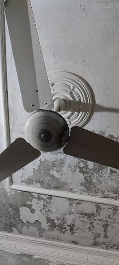 GFC medium size fan