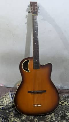 professional  Acoustic guitar