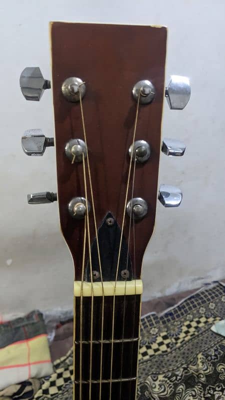 professional  Acoustic guitar 3