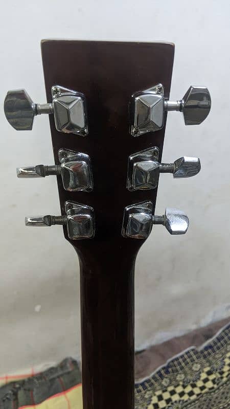 professional  Acoustic guitar 5