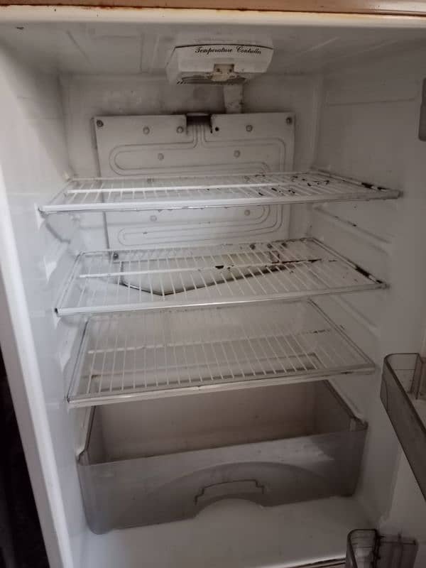 Media size fridge 1