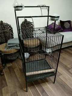 brand New parrot cage pingra very cheap price  03343995142