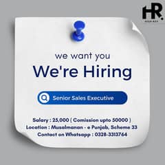 Social Media Marketing | USA Campaign | Senior Sales Agent