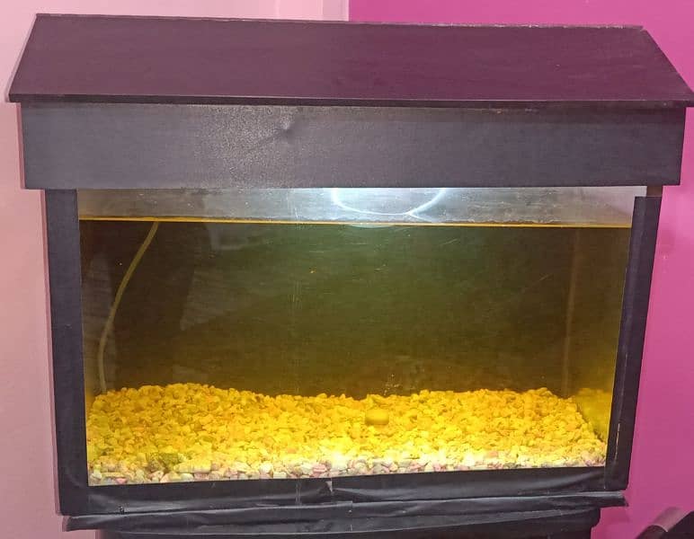 Aquarium for sale in reasonable price 1