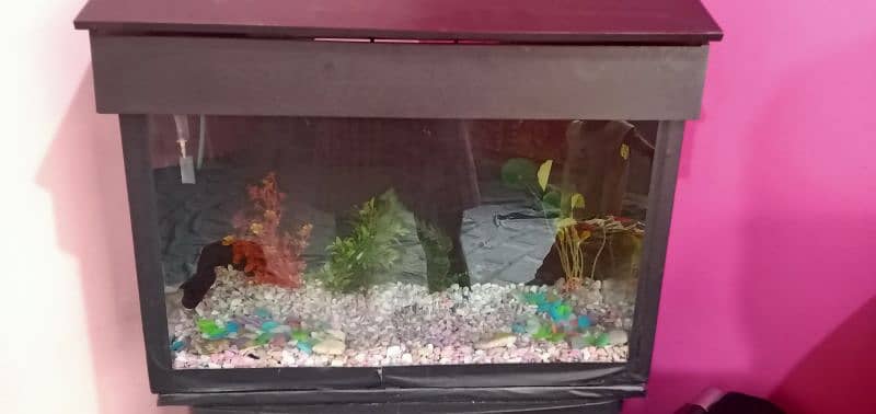 Aquarium for sale in reasonable price 4