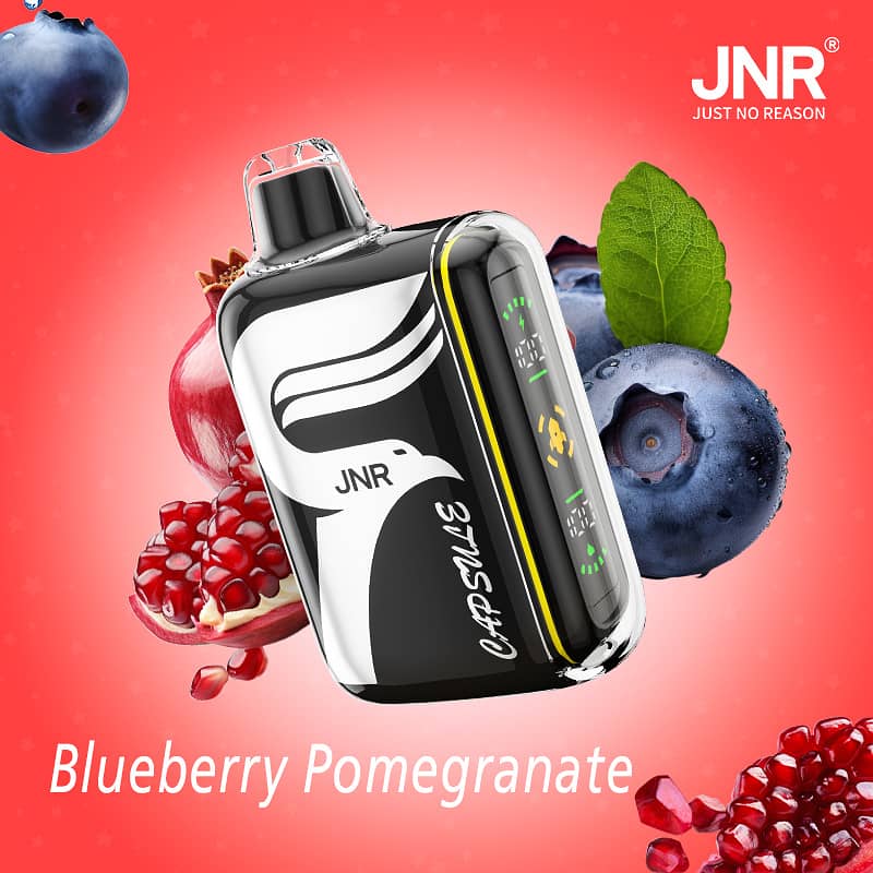 JNR Capsule 15000 puffs Vape 4