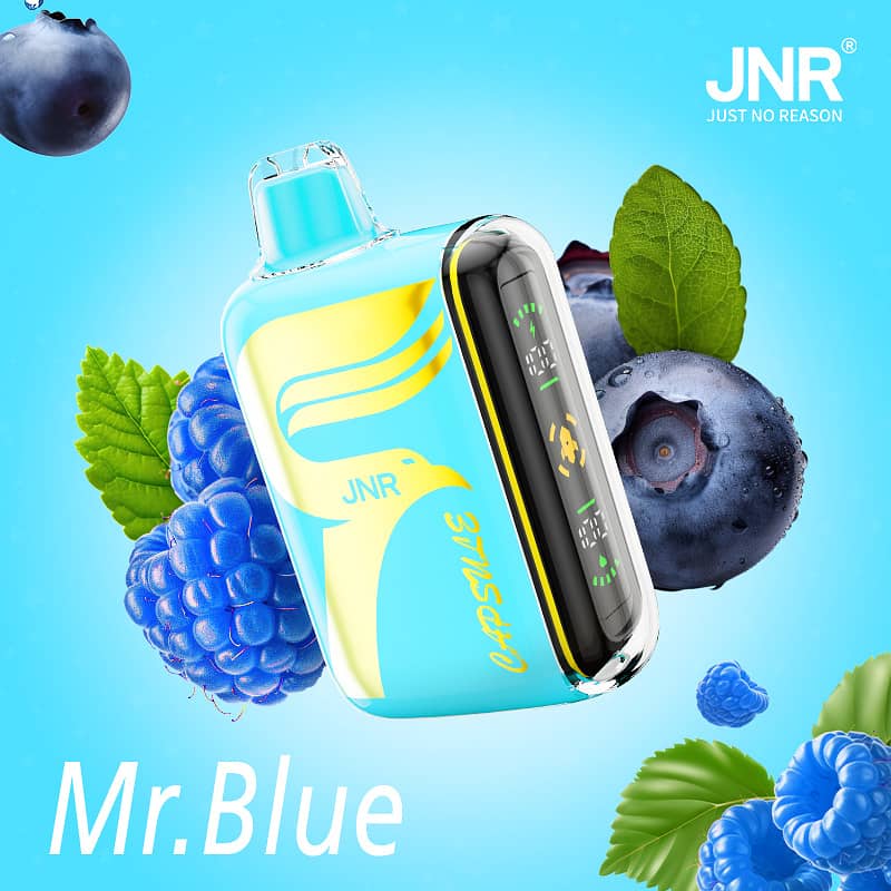 JNR Capsule 15000 puffs Vape 9