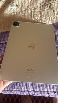 ipad pro m2 4 generation full 10/10 condition with packing