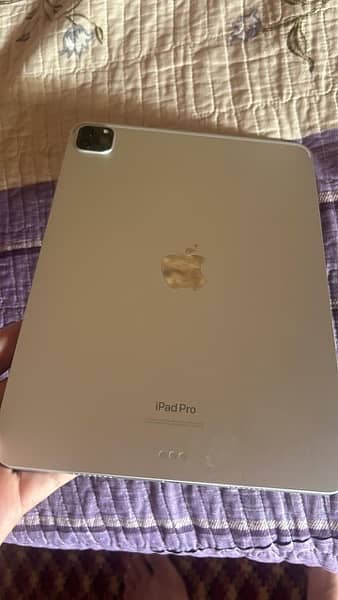 ipad pro m2 4 generation full 10/10 condition with packing 0