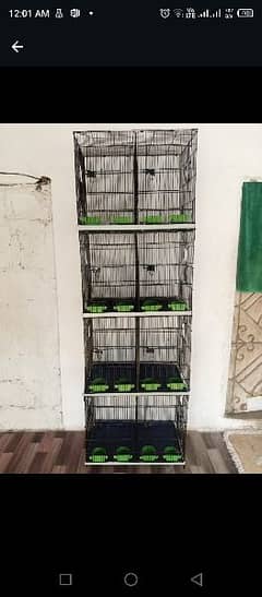 10 portion folding cage