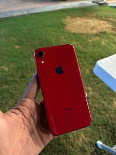 IPHONE XR 64 gb