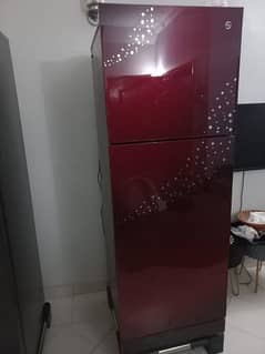 PEL Glassdoor Fridge- Great Condition