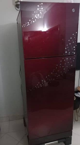 PEL Glassdoor Fridge- Great Condition 5