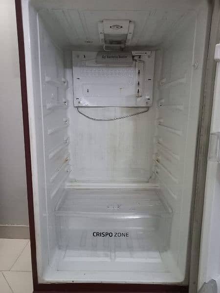 PEL Glassdoor Fridge- Great Condition 9