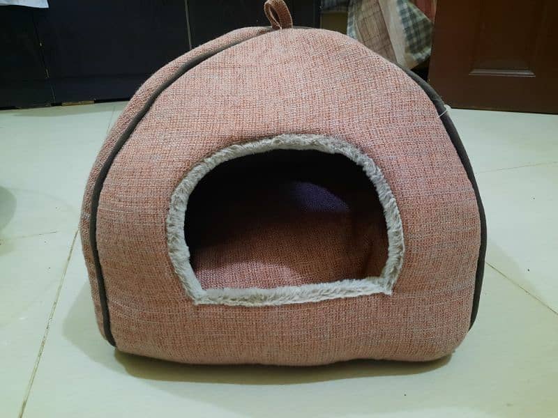 2 Cat House 1