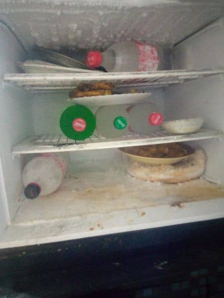 Fridge all ok no Ani problem 2