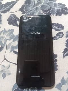 vivo