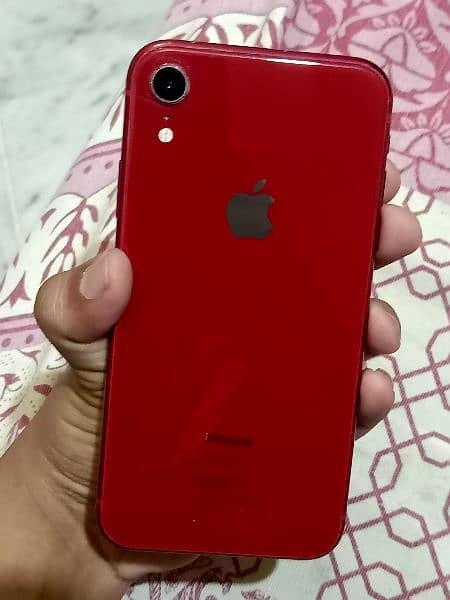 iphone xr 10/10 condition 3