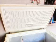 waves deep freezer genuine condition