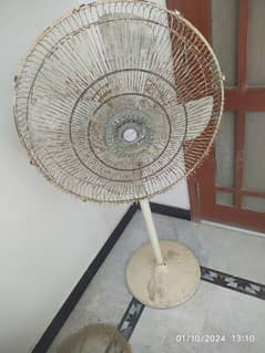 Pedestal Fan skin color