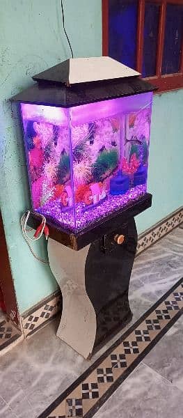 fish aquarium 1