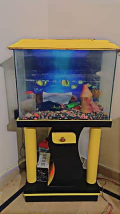 aquarium for sell 0