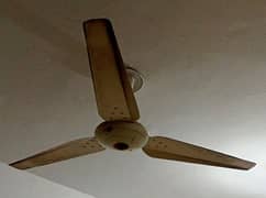 Used Condition Fan full working 0