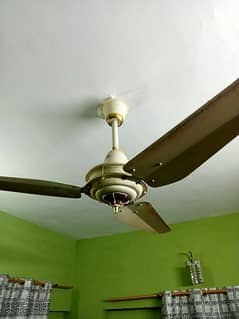 fancy fan 4000