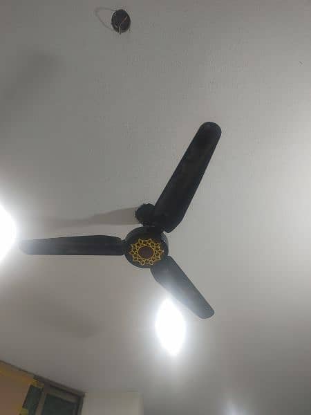 High Quality Celing Fans 1