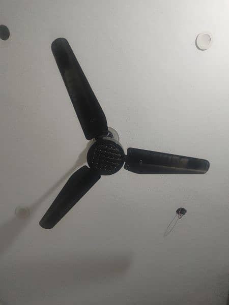 High Quality Celing Fans 2