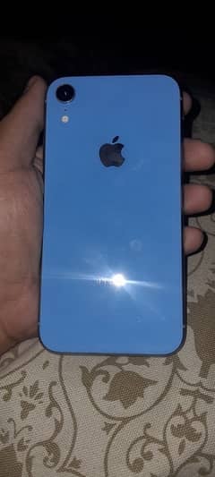 iPhone XR