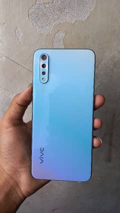 vivo