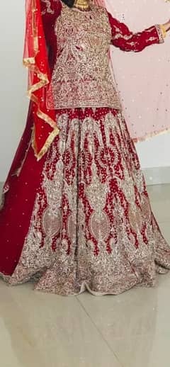 Bridal lehnga / Barat dress / Wedding wear /Bridal dress with jwellery