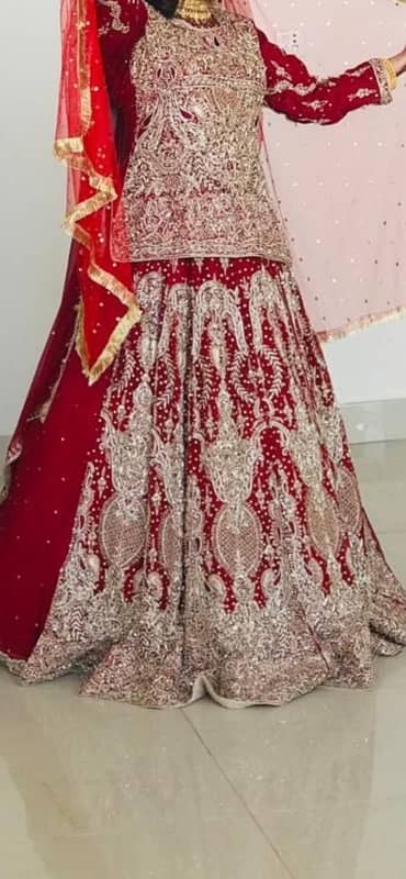 Bridal lehnga / Barat dress / Wedding wear /Bridal dress with jwellery 0