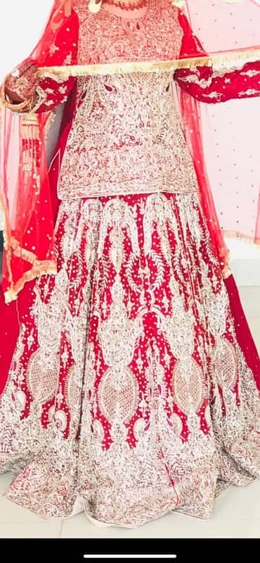 Bridal lehnga / Barat dress / Wedding wear /Bridal dress with jwellery 2