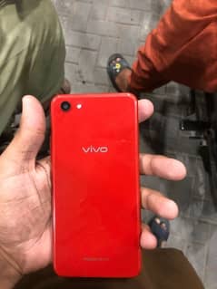 vivo