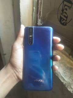 vivo