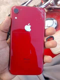 Iphone XR 64GB Pta Aproved Dual simCall 03046639262