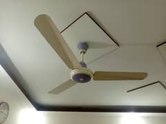 2 Fan for Sell Sonex and Royal