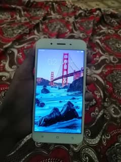 vivo y66 4/64 condition 10/10