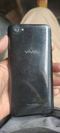 vivo