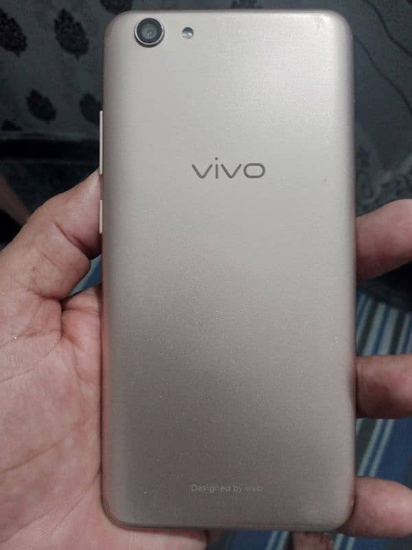 VIVO sale 1