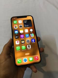 Iphone 12 pro Max Non Pta, Factory Unlock