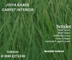 Wholesale rates artifical Grass / grass carpet / astro turf / grass