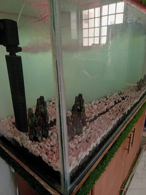 fish aquarium fishes equipment and water filter 2