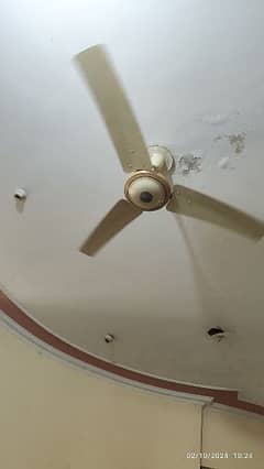 ceiling fans for sale