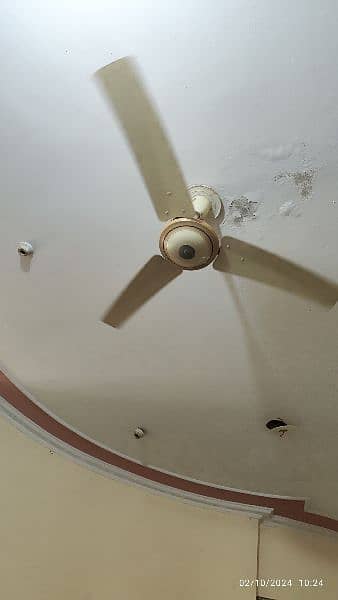 ceiling fans for sale 0