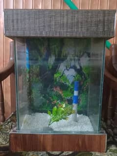 Fish Aquarium for Sale