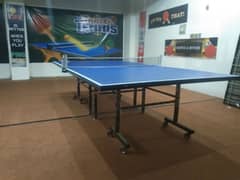 Table Tennis Table 0