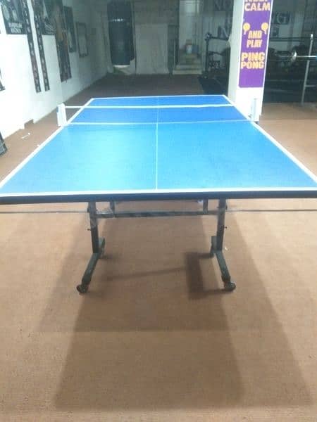 Table Tennis Table 2